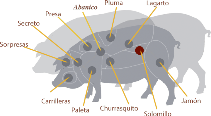 cerdo_solomillo-min